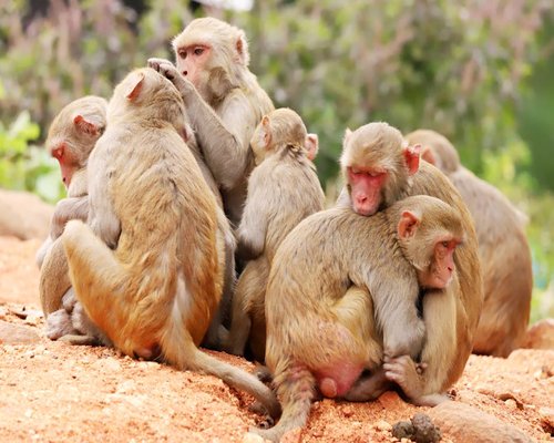 TidalHaven Community